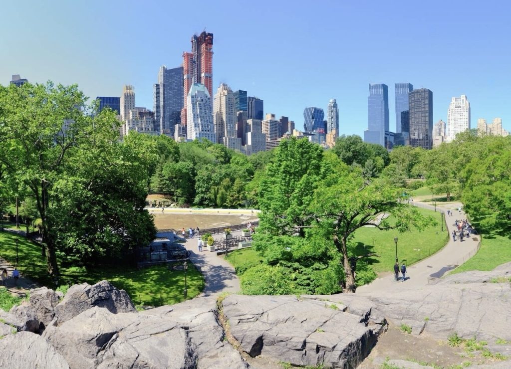 Vibrant summer scene in Central Park, New York, with lush greenery and people enjoying the outdoors, contrasted against the backdrop of modern skyscrapers and clear blue skies.